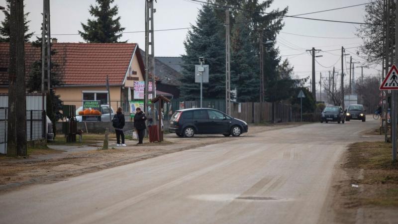 Újabb szökött állatka bukkant fel Hajdú-Bihar területén! Az utolsó információk szerint a melegoldalon látták, ami miatt a hajdúsámsoniak szívében izgalom uralkodik! - fotóval!