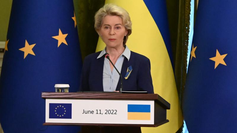 Von der Leyen határozottan kifejezte álláspontját: 