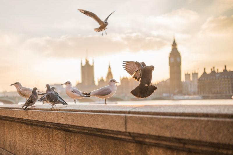 A brit kormány egy páratlan szankciós csomagot vezetett be az oroszok ellen.