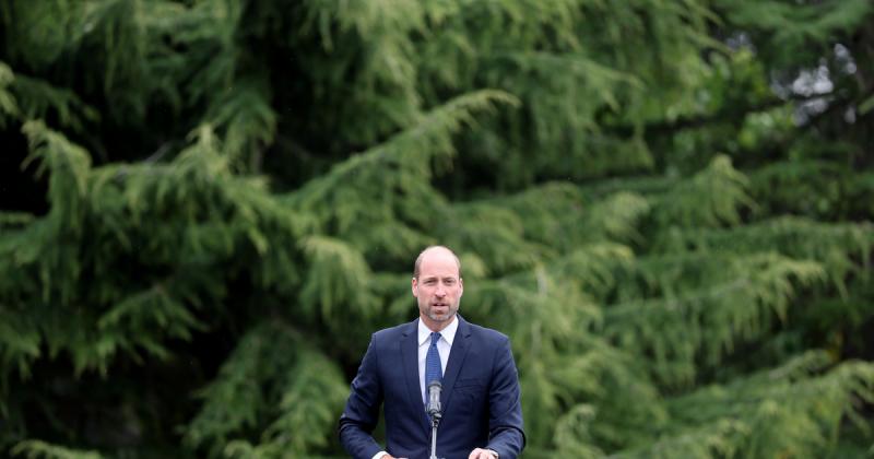 Vilmos így kívánja megújítani a monarchiát: meglepő nyilatkozatot tett.